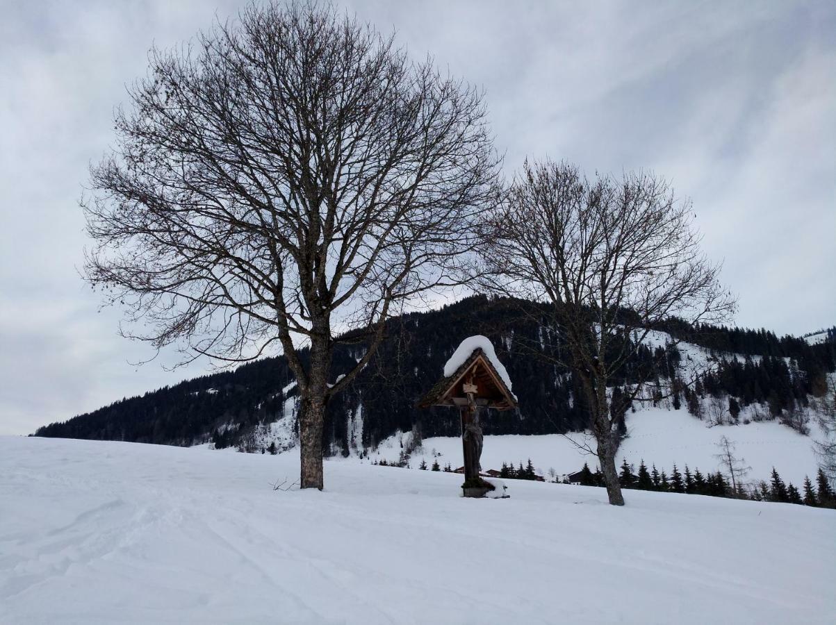 Appartements Haus Bergland Sankt Martin am Tennengebirge Extérieur photo
